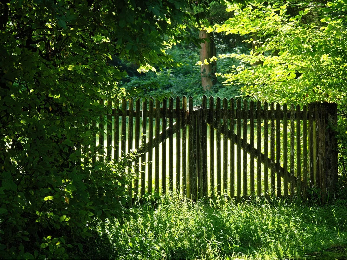 A weathered wooden fence and gate running along a shaded garden path